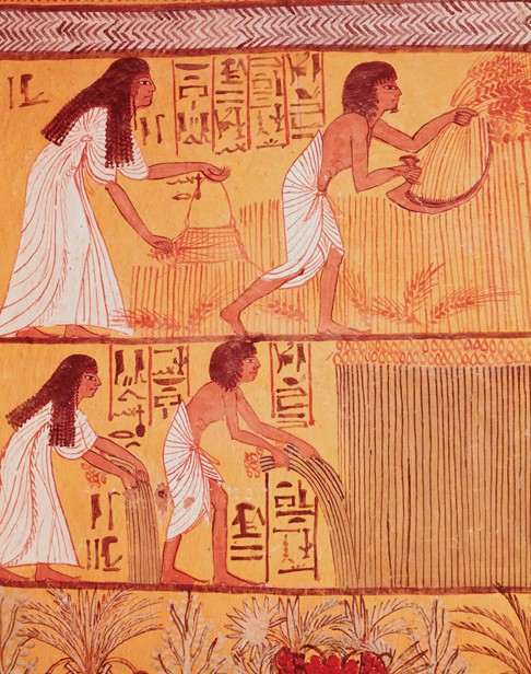 Жатва серпом со вставными кремневыми пластинами. Роспись в гробнице Сеннеджена. Древний Египет