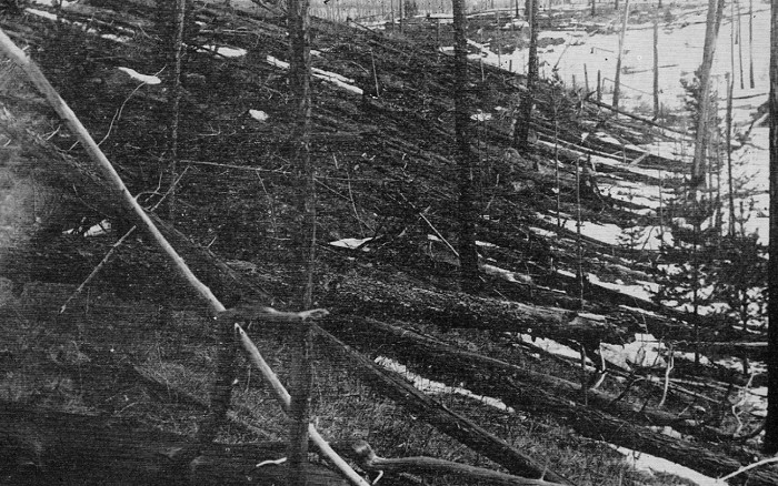 Лес, поваленный в месте тунгусского взрыва. Фотография 1927 г.