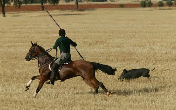 Современный конный охотник