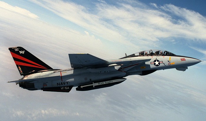 истребитель F-14