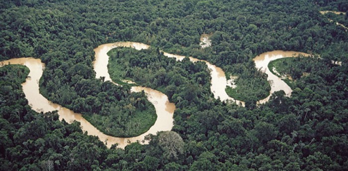 Петляющее русло реки Амазонки