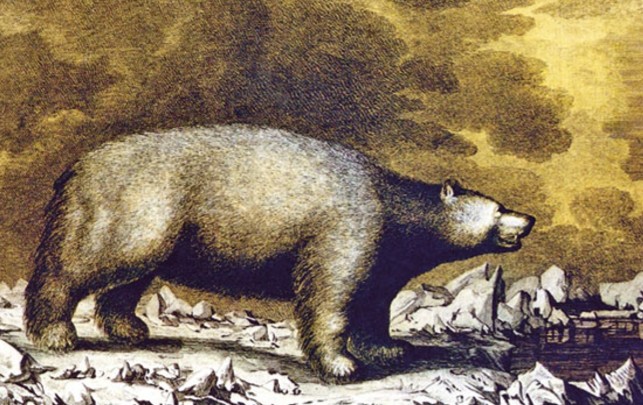 Дж. Уэббер. Белый медведь на Аляске