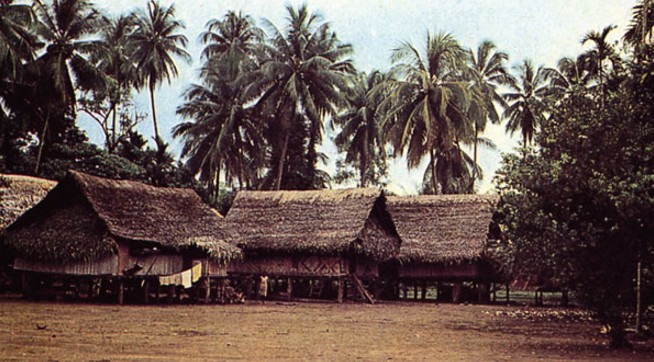 Деревня Бенгу, о. Новая Гвинея, в которой более 100 лет назад жил Маклай.
