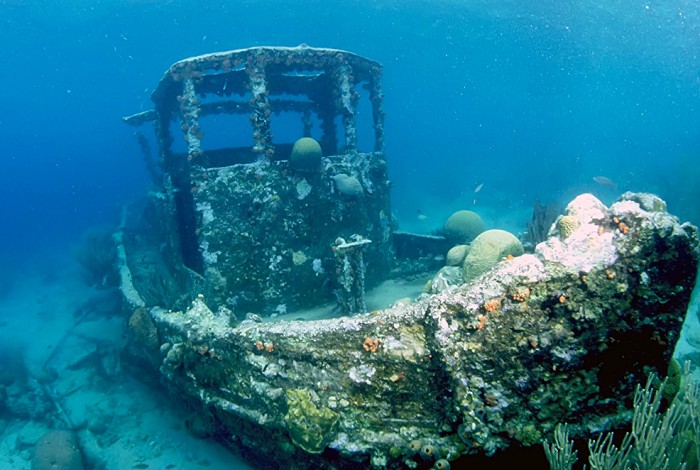 Подводный мир завораживает, но таит не только красоты, но и опасности