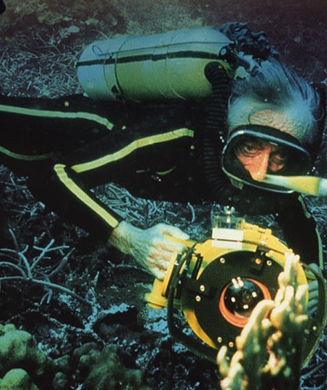 Подводная съемка для фильма «В мире безмолвия»