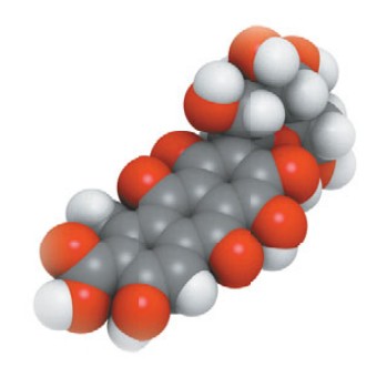 Модель молекулы кармина