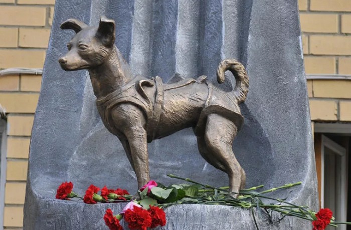 Памятник собаке Лайке в Российском институте военной медицины