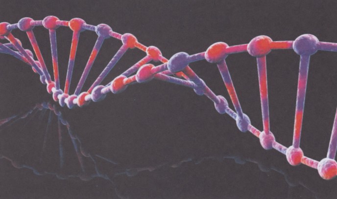 форма молекулы ДНК