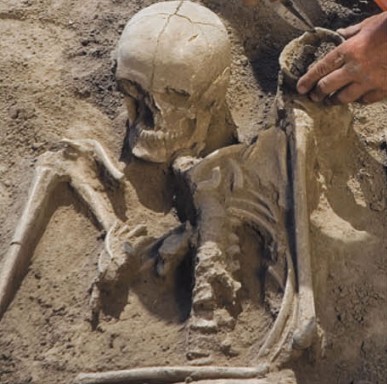 Кости древнего человека