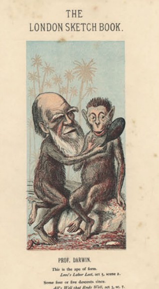 Карикатура 1874 года, которая высмеивает теорию Дарвина