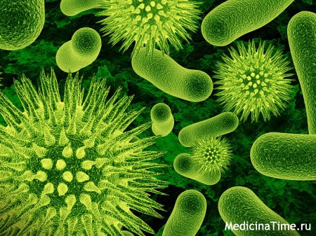 Что такое вирусы и микробы?