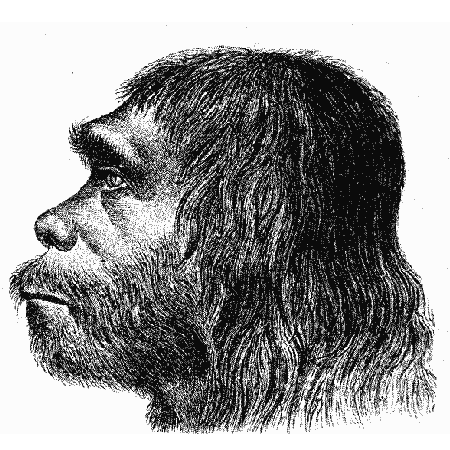 Одна из первых попыток восстановить облик неандертальца